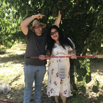 Very Mulberry - Pick Your Own Farms Near Me - Brentwood, California Very Mulberry - Pick Your Own Farms Near Me - Brentwood, California