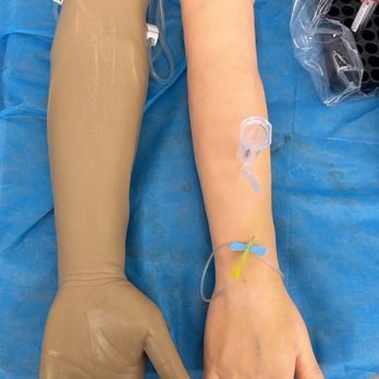 ABO Phlebotomy School - Vocational & Technical School Near Me - San Fernando Valley, California ABO Phlebotomy School - Vocational & Technical School Near Me - San Fernando Valley, California
