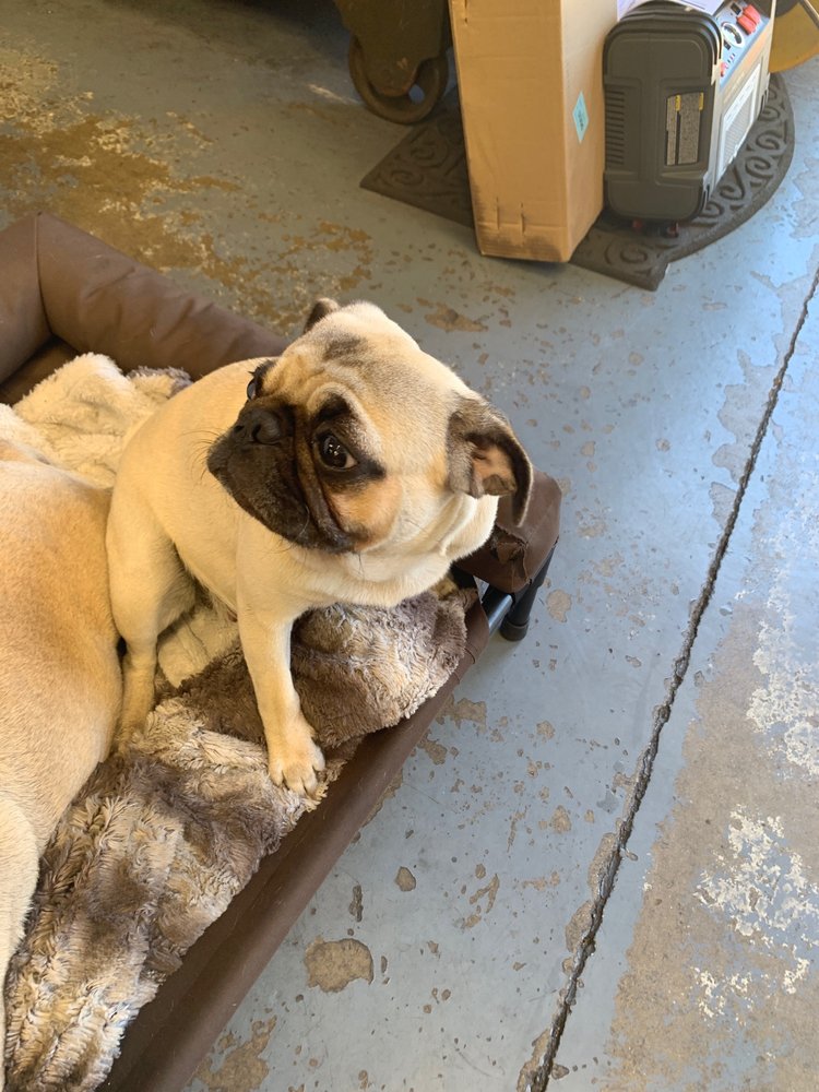 C & C REPAIR 30 Photos & 77 Reviews 249 Dela Vina Ave, Monterey