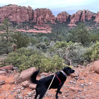 Barlow Jeep Rentals - You can't see this from a road! - Car Rental Near Me - Sedona, Arizona Barlow Jeep Rentals - You can't see this from a road! - Car Rental Near Me - Sedona, Arizona