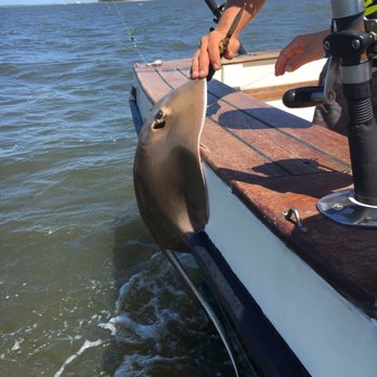 Pipe Dream Charters - A huge stingray! - Boating Near Me - Fernandina Beach, Florida Pipe Dream Charters - A huge stingray! - Boating Near Me - Fernandina Beach, Florida