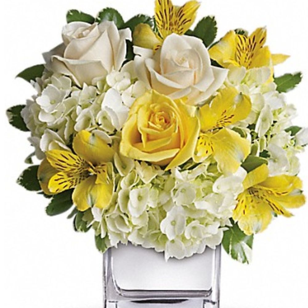 Zehrs Flower Delivery Cambridge Best Flower Site