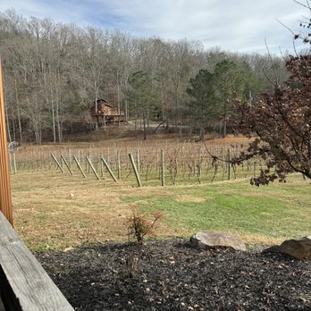 Bear Claw Vineyards - vineyard - Wineries Near Me - Blue Ridge, Georgia Bear Claw Vineyards - vineyard - Wineries Near Me - Blue Ridge, Georgia