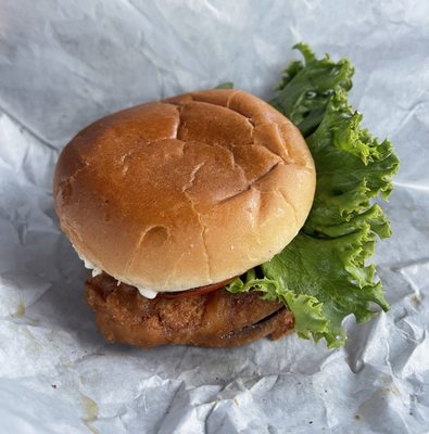 Earth Burger by null