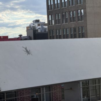 Union Rooftop - A bug etched into the railing - I thought it was cool - New American Near Me - Minneapolis, Minnesota Union Rooftop - A bug etched into the railing - I thought it was cool - New American Near Me - Minneapolis, Minnesota