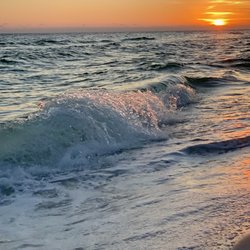 Easy Vacation Services