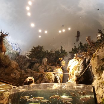 Bass Pro Shops - Hunting & Fishing Supplies Near Me - Delta, British Columbia