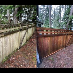 Thorough SoftWash - Fence Cleaning
