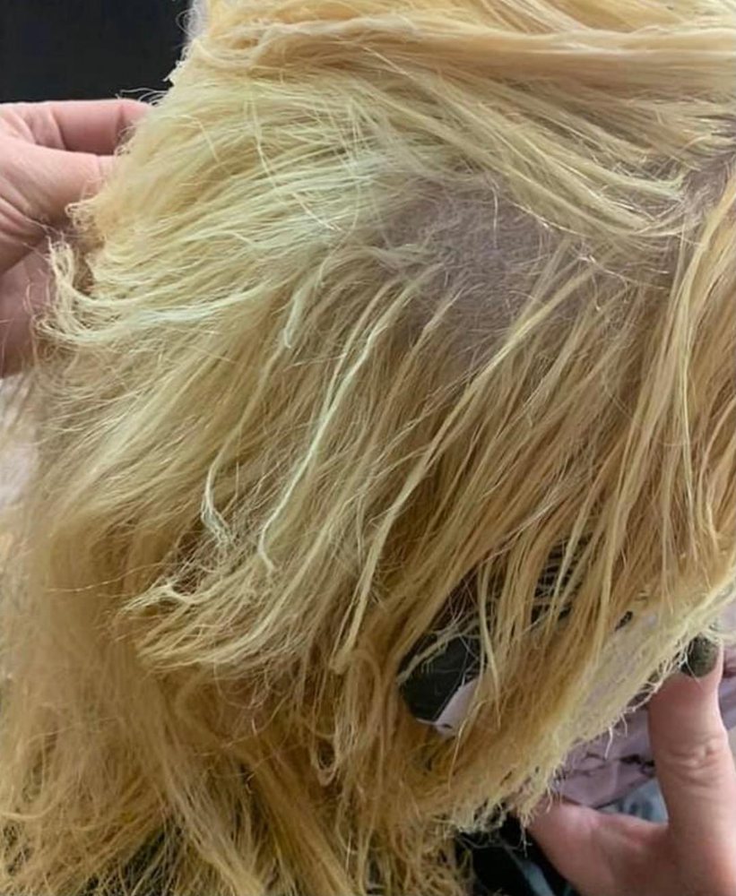 FAB THE SALON Updated July 2024 21 Photos & 30 Reviews 8401