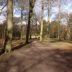 Warley Woods