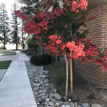 Fugitt Chiropractic - Chiropractors Near Me - Sacramento, California Fugitt Chiropractic - Chiropractors Near Me - Sacramento, California