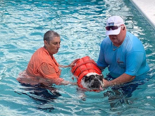 South Paw Massage & Wellness - Home of the Vero Beach Canine Country Club