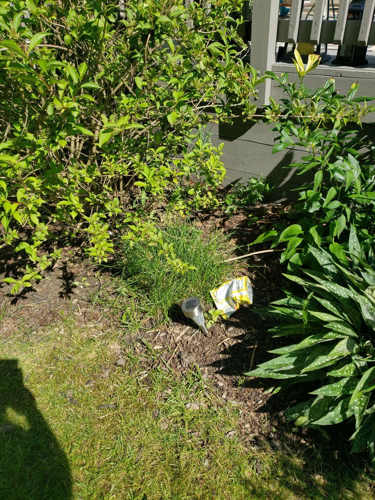 SCHILL GROUNDS MANAGEMENT 13 Photos 5000 Mills Industrial Pkwy