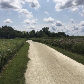 Springbrook Prairie Forest Preserve - Trail - Parks Near Me - Naperville, Illinois