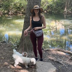 Los Gatos Creek