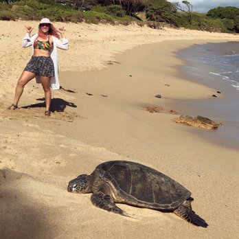 The Magic of Maui Experience - Tours Near Me - Kihei, Hawaii The Magic of Maui Experience - Tours Near Me - Kihei, Hawaii