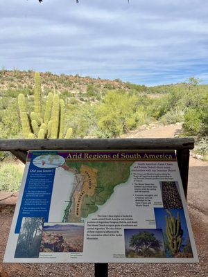 Boyce Thompson Arboretum by null