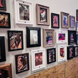 Impressive display of dog pictures near bathroom area