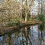 Photo of Stadtpark Buxtehude