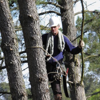 Mathers Tree Service - Rich Mathers - Co-owner with over 30 years of tree climbing experience. He is on every job site and is one of the best in the business. - Tree Services Near Me