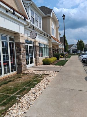 The Biscuit Lady by null