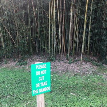 Tabasco Food Tours - Tall! - Food Tours Near Me - Iberia Parish, Louisiana Tabasco Food Tours - Tall! - Food Tours Near Me - Iberia Parish, Louisiana