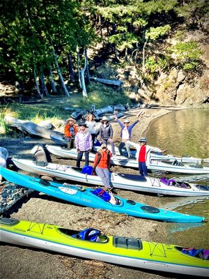 Savor Seattle Food Tours by null