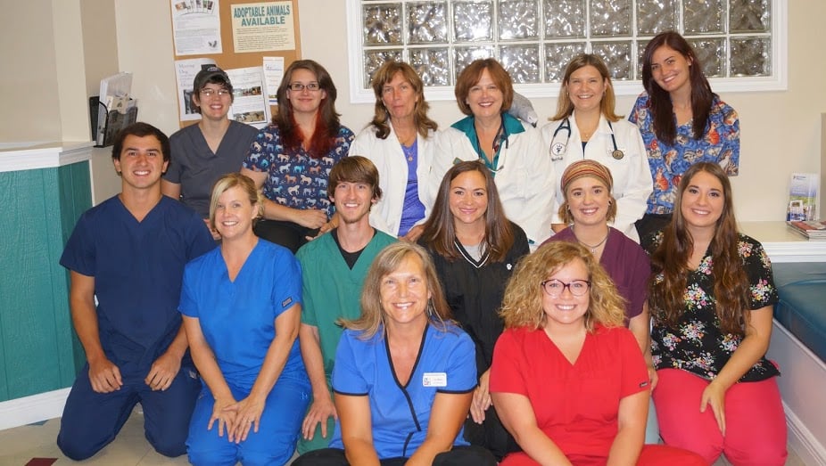 BEST FRIENDS ANIMAL HOSPITAL AND PET HOTEL Updated August 2024 13