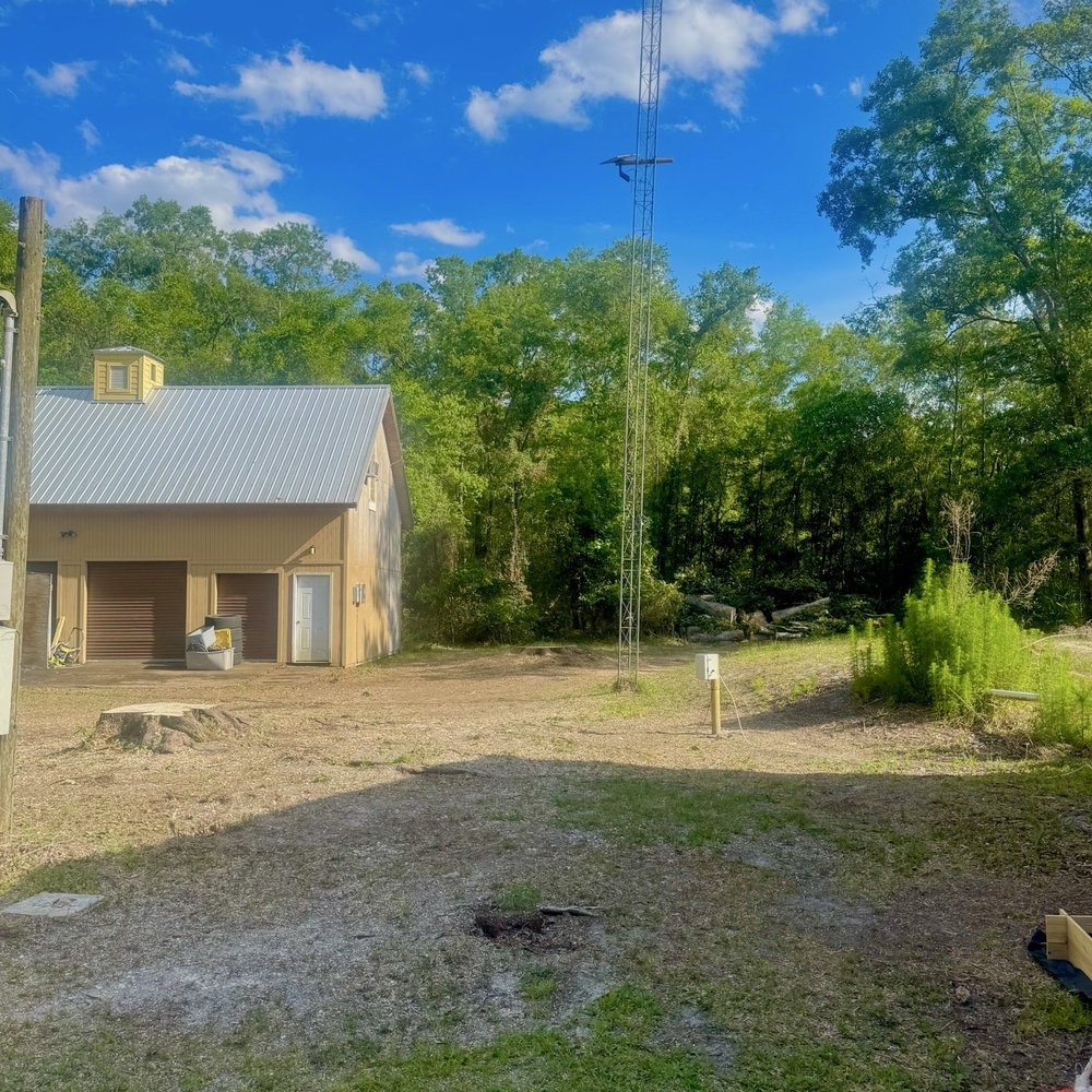 True Cut Tree Service - Tree Services Near Me - Gainesville, Florida True Cut Tree Service - Tree Services Near Me - Gainesville, Florida
