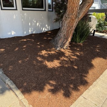 Evermont Landscape - Front yard. - Landscaping Near Me - Richmond, California Evermont Landscape - Front yard. - Landscaping Near Me - Richmond, California