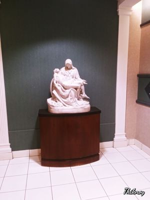 Ascension Saint Thomas Hospital West by null