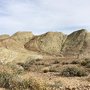 Photo of Rainbow Basin Natural Area