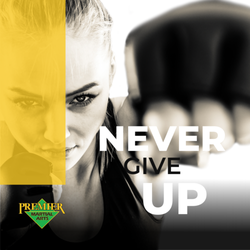 Premier Martial Arts - Lawrence, KS