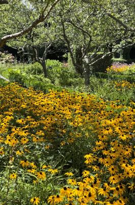 Green Animals Topiary Garden by null