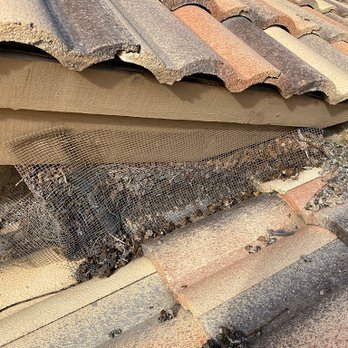 Watchdog Pest Control - Example of bad pigeon mesh - Pest Control Near Me - Phoenix, Arizona