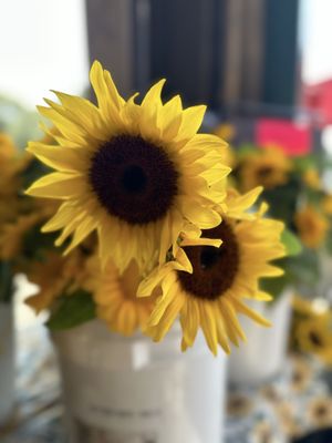 State Farmers Market by null
