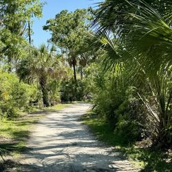Upper Tampa Bay Conservation Park