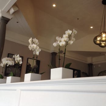 Cornwall Park Bistro - Bistros Near Me - Epsom, AUK Cornwall Park Bistro - Bistros Near Me - Epsom, AUK