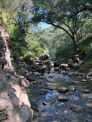 Black Star Canyon Falls Trailhead by null
