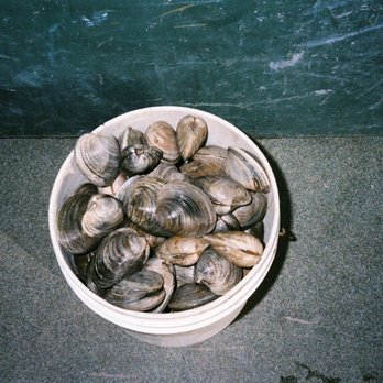 Andrade's Catch - Narragansett Bay littlenecks - Seafood Markets Near Me - Bristol, Rhode Island