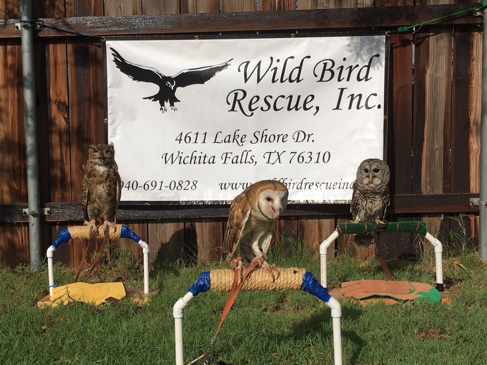WILD BIRD RESCUE Updated August 2024 4611 Lake Shore Dr, Wichita