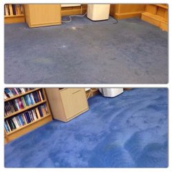 Tailored Carpet Care