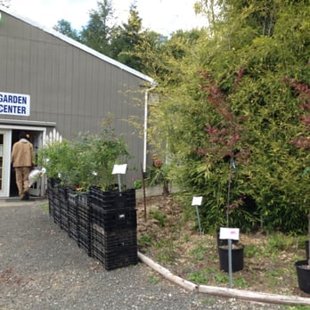 Where is Raintree Nursery Located – A Comprehensive Guide