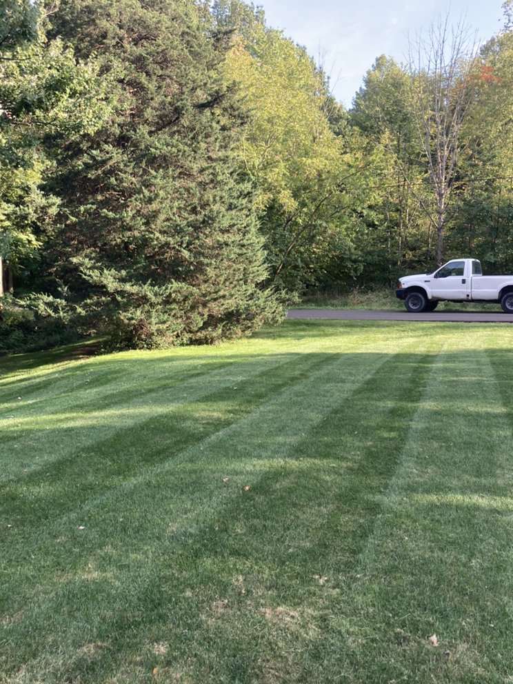 MOW BY FAITH LAWN CARE Updated June 2024 1251 Alberta St, Barberton, Ohio Lawn Services