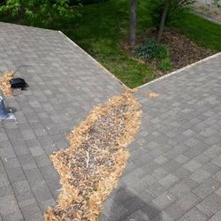 Galaxy Gutter Cleaning - Leafy buildup on the roof which left uncleaned for too long can lead to roof rot.