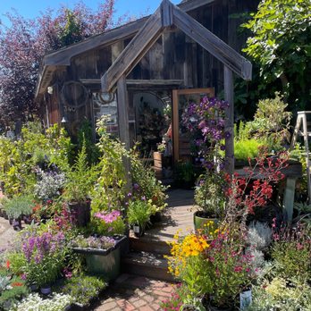 Alena Jean - Florists Near Me - Half Moon Bay, California Alena Jean - Florists Near Me - Half Moon Bay, California