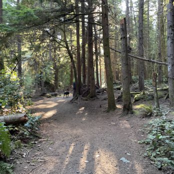 Point Defiance Park - Parks Near Me - Tacoma, Washington Point Defiance Park - Parks Near Me - Tacoma, Washington