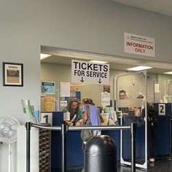 Bexar County Tax Assessor Collector - This is the first window you'll go to when you arrive.