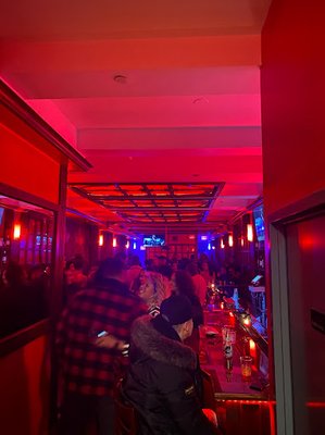 Cat Lounge NYC by null