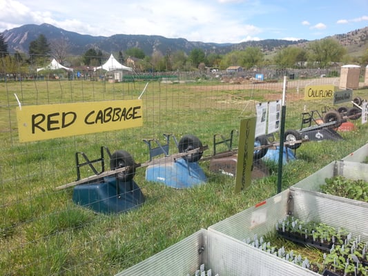 Growing Gardens by null